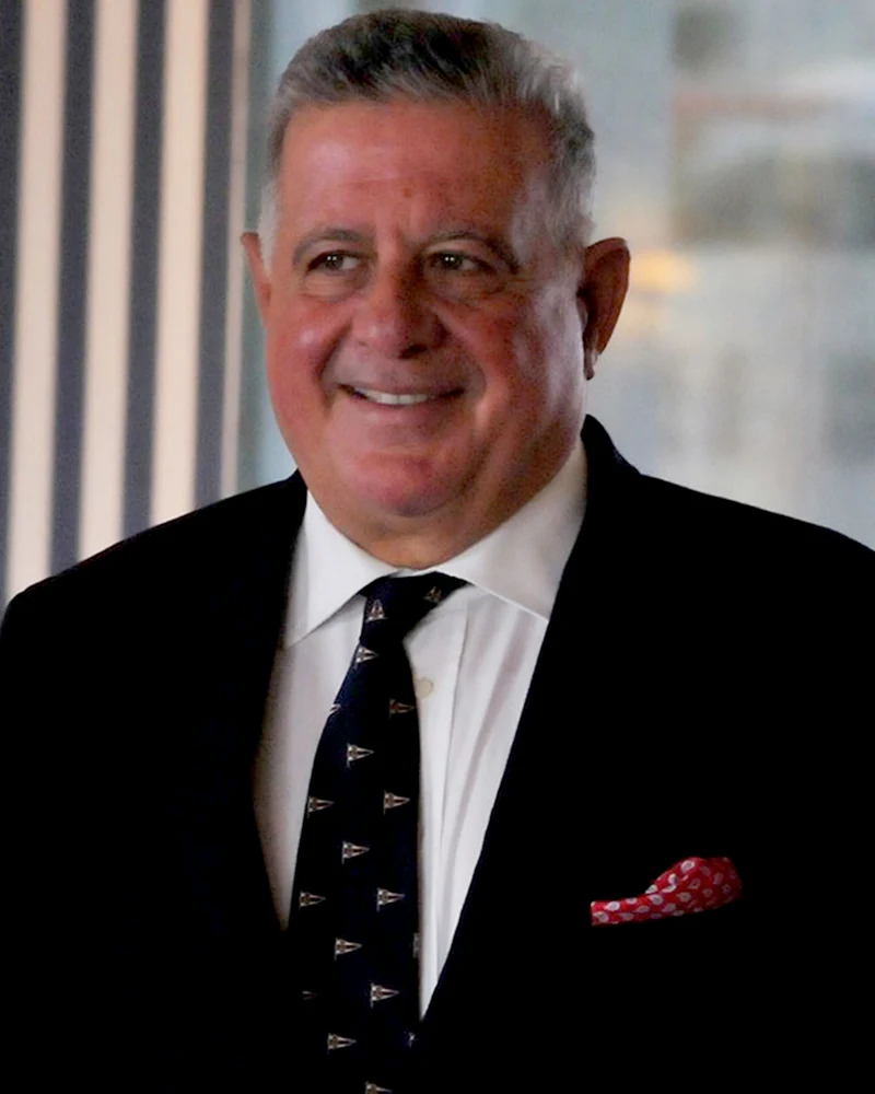 Vasilios Politis — Member of the Board of Directors, Hellenic Chamber of Shipping · Institutional Representative for Maritime Tourism